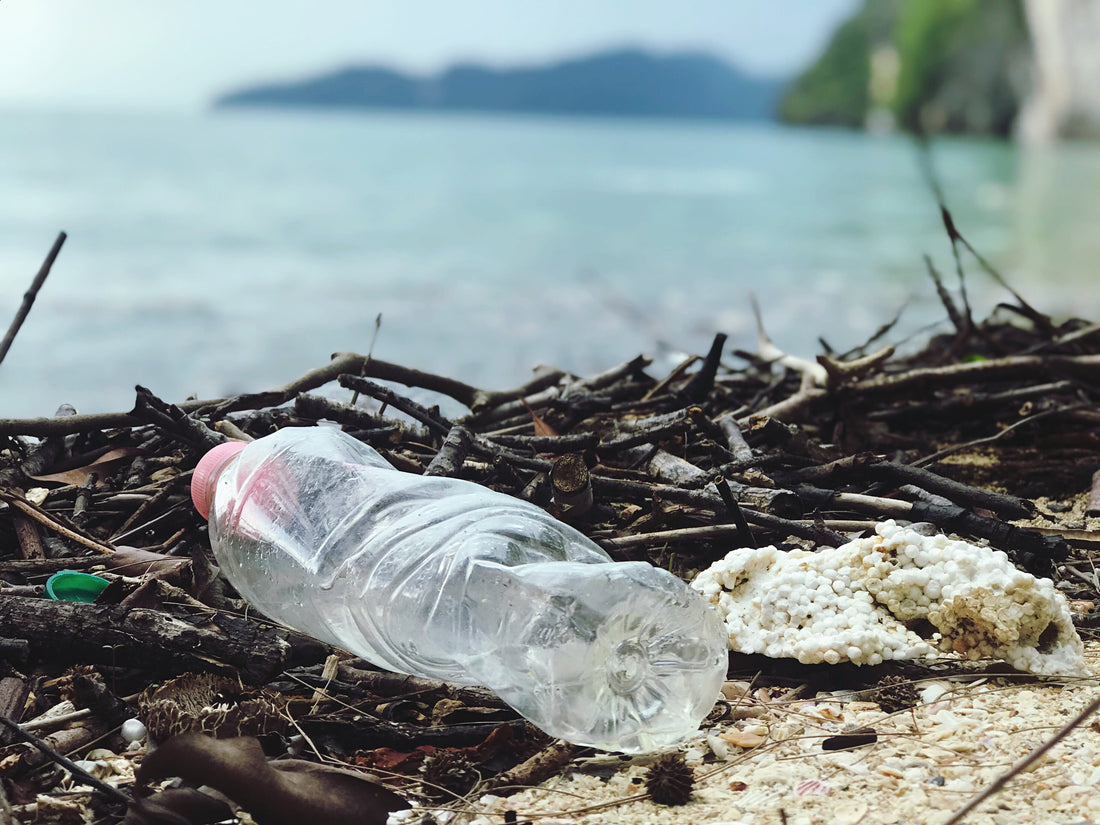El Impacto Invisible: La Crisis del Plástico Ahogando Nuestros Océanos